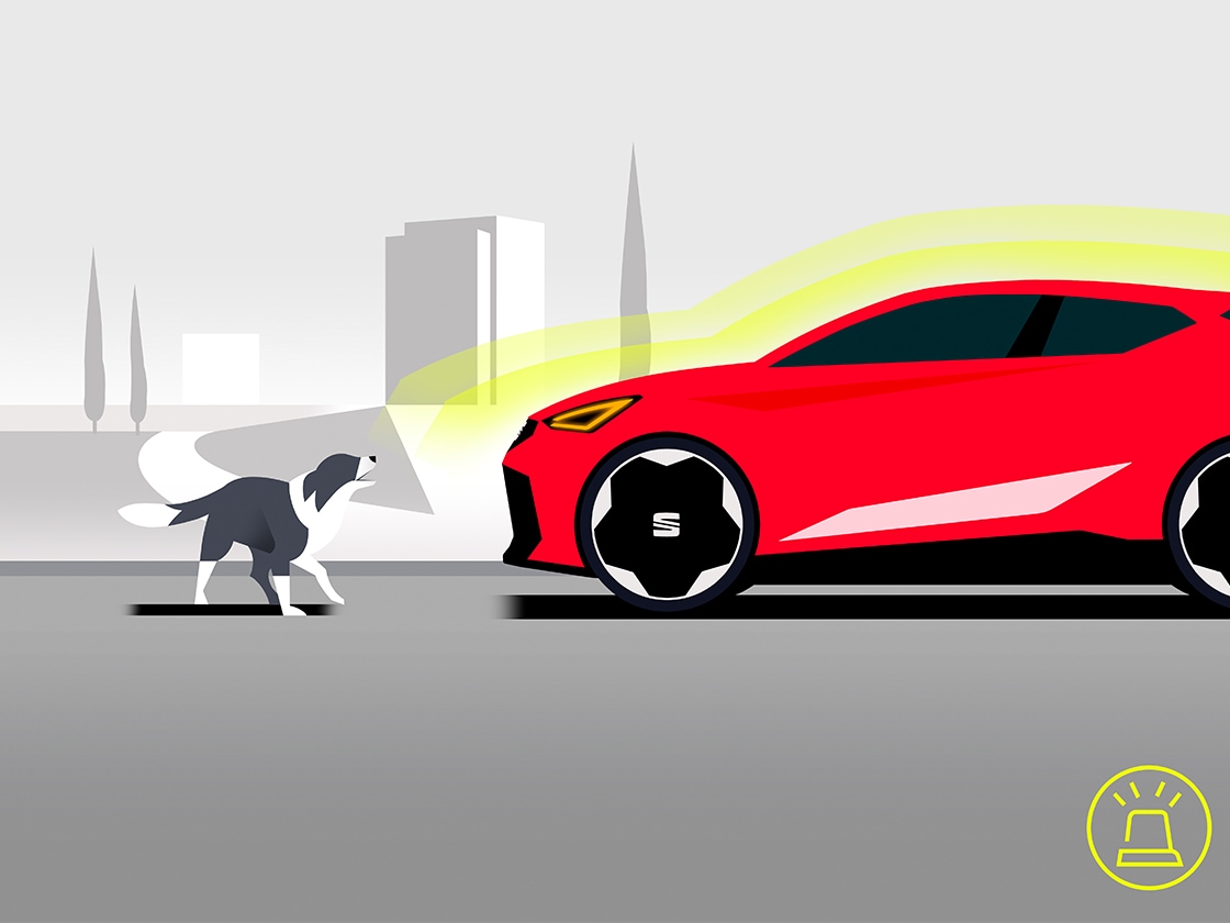 seat ibiza anti-theft alarm  seat ibiza anti-theft alarm