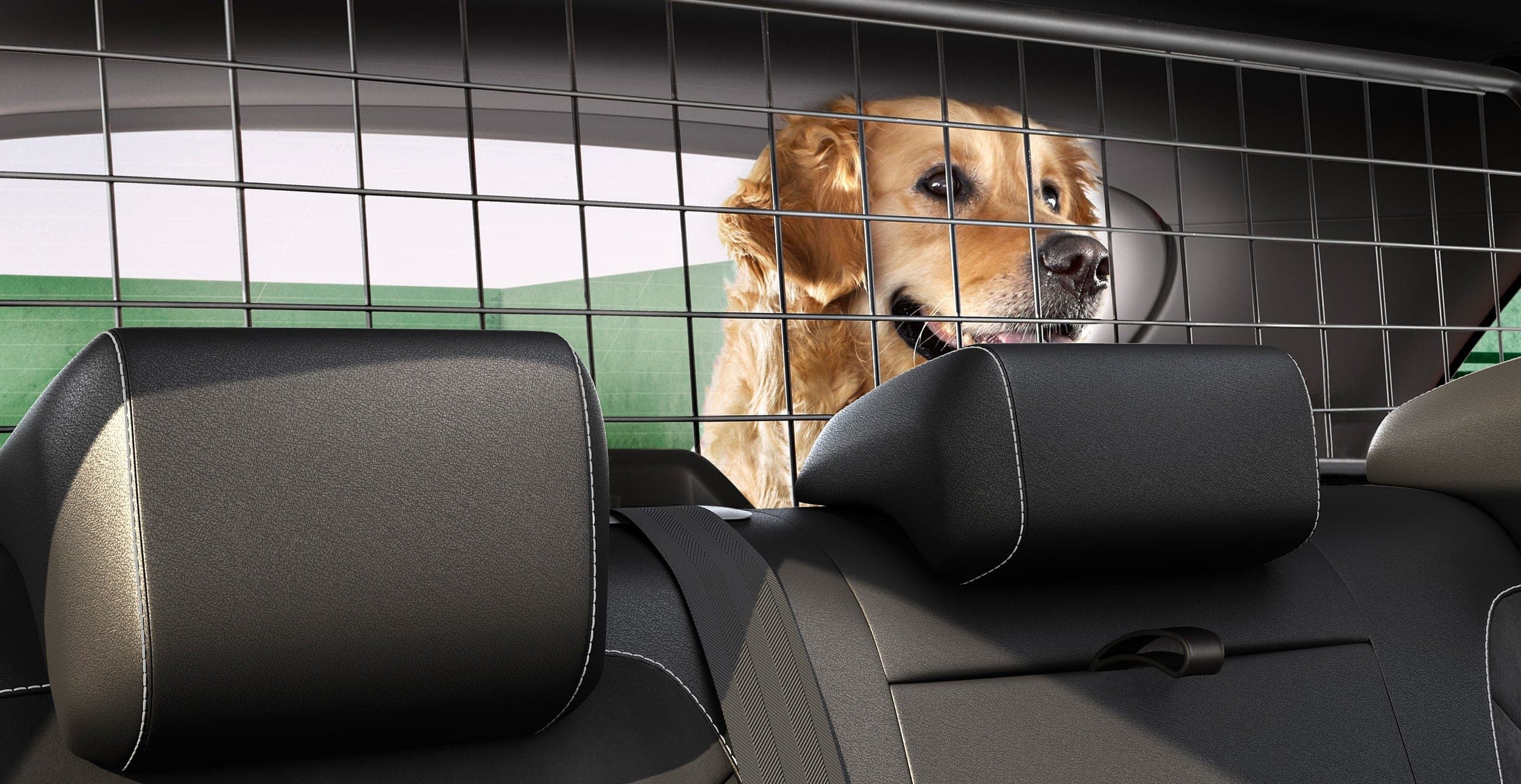 Dog inside the new SEAT Ateca 2021 SUV