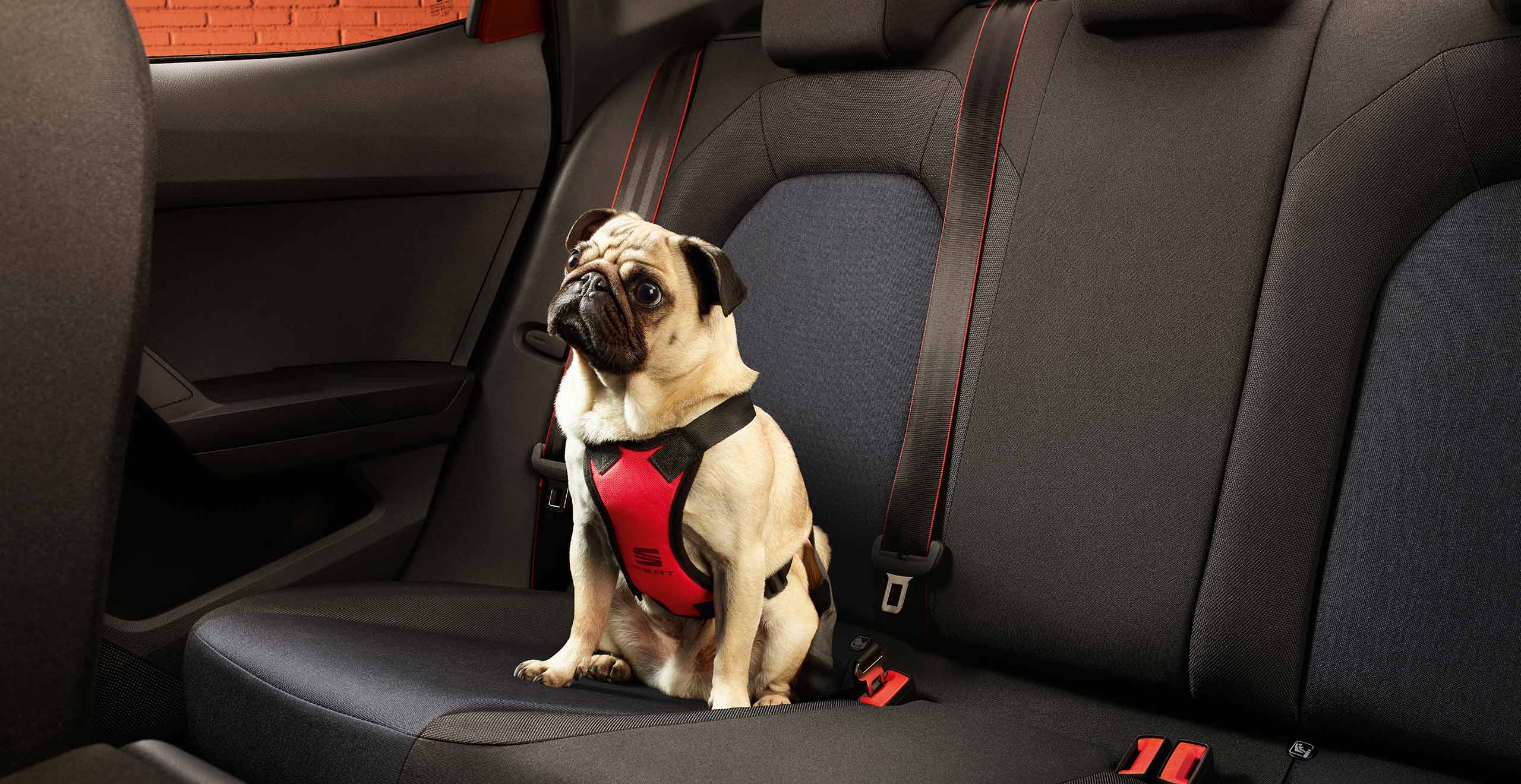 Accesorios SEAT Pets