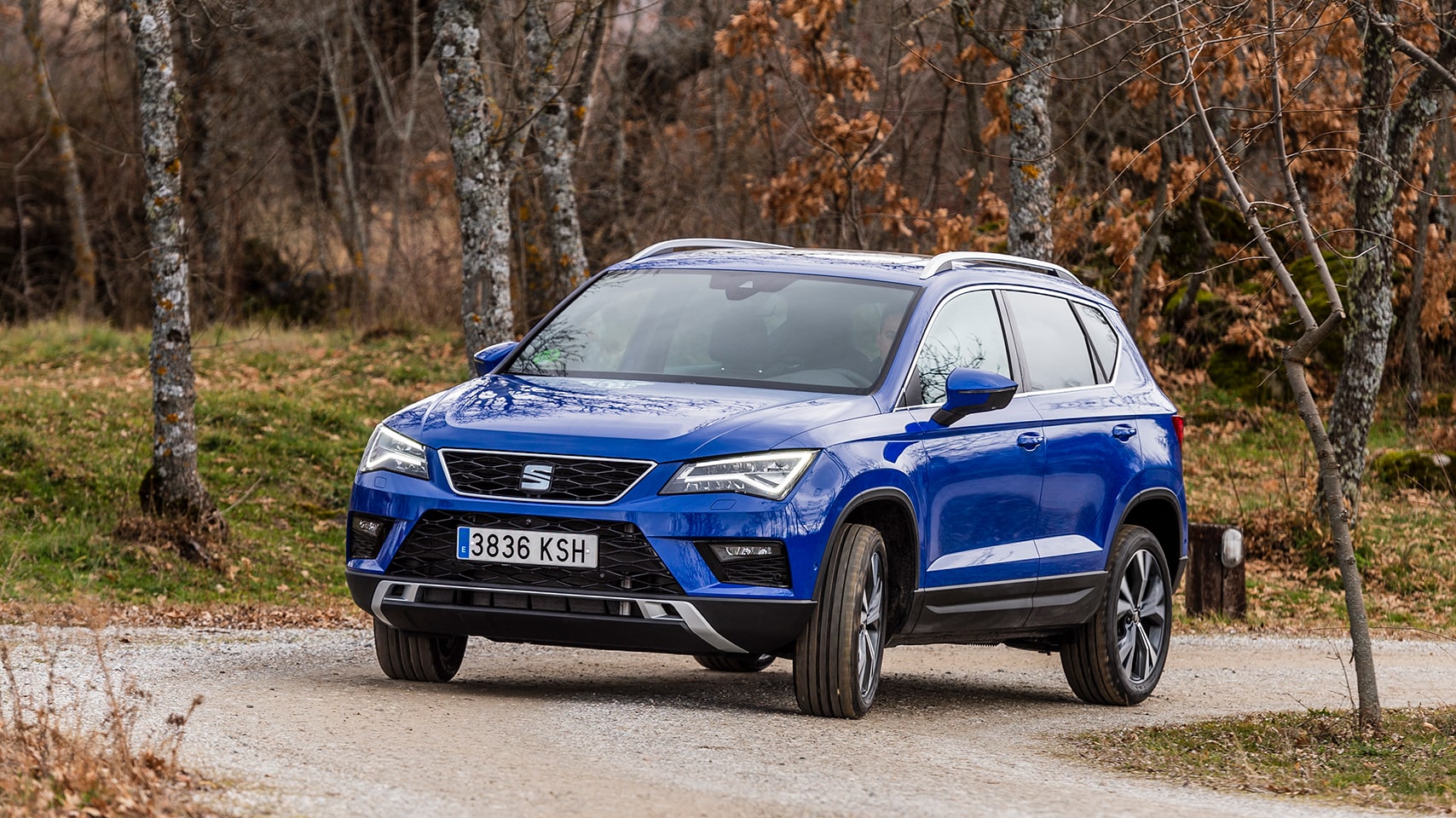 SEAT Ateca forest driving